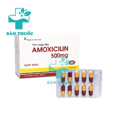 Amoxicilin 500mg Mebiphar